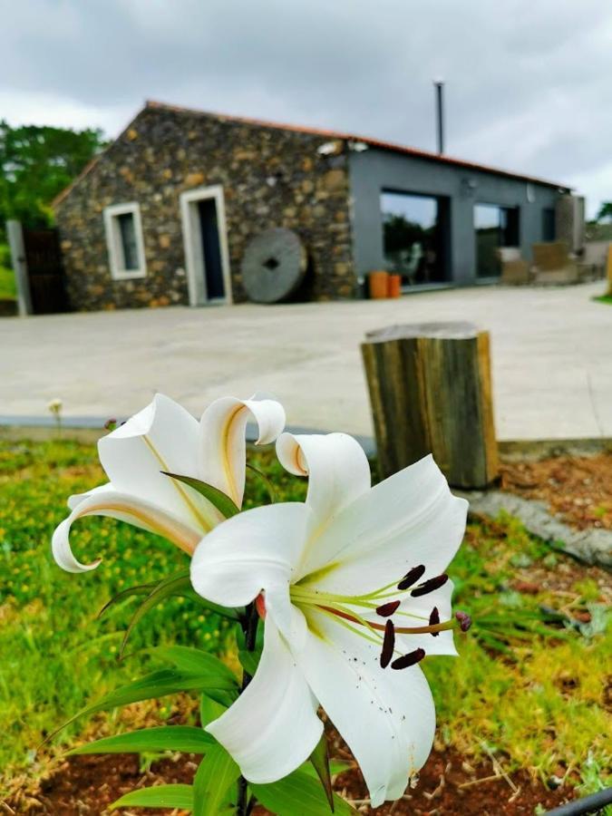 הוילה Sao Pedro  Quinta De Sao Jose מראה חיצוני תמונה