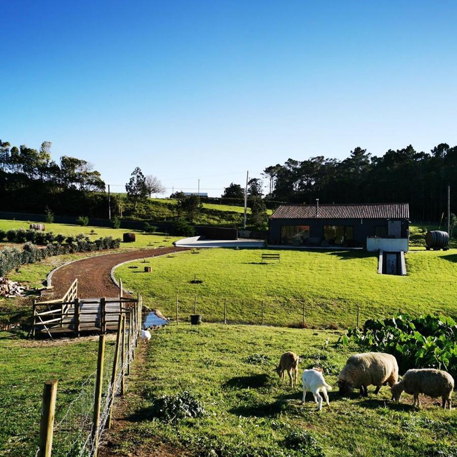 הוילה Sao Pedro  Quinta De Sao Jose מראה חיצוני תמונה