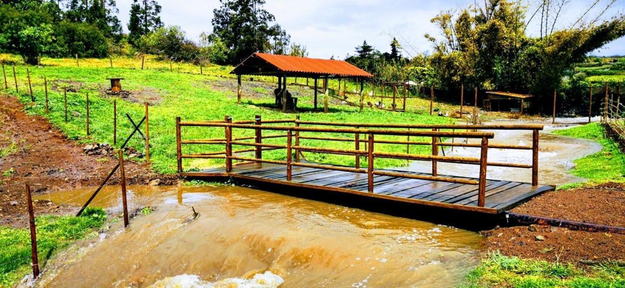 הוילה Sao Pedro  Quinta De Sao Jose מראה חיצוני תמונה