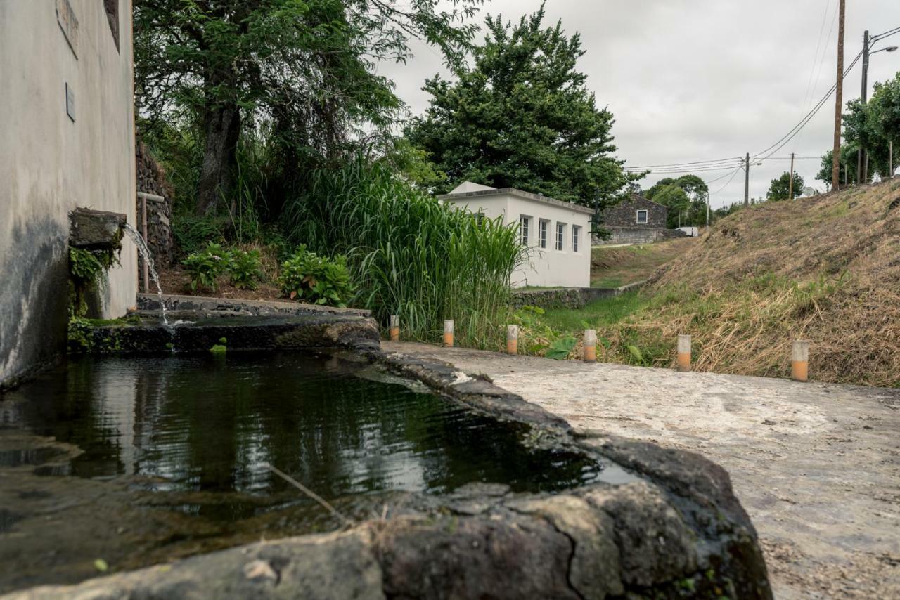 הוילה Sao Pedro  Quinta De Sao Jose מראה חיצוני תמונה